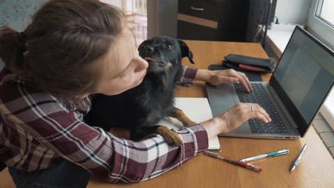 European female student study from home office and pets interruption while working at home. Dog bothers her. Working and studying from home problem concept