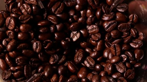 Top view of coffee beans was grinded with an electric grinder. for preparing to grind coffee and making freshly ground coffee in coffee shop. High angle view. 4k resolution
