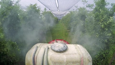 Tractor Mounted Orchard Sprayer Dispersing Pesticide Chemicals Through Spraying Nozzles. Tractor Orchard Sprayer Point of View in Apple Orchard. 