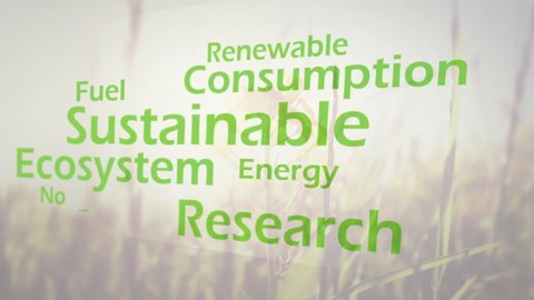 Animation of green words like sustainable resources, environment, climate, fuel, recycling appearing on grass field backround. Green energy sustainable development concept digital composite.