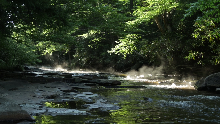 Morning mist rises off of Red Creek in the Dolly Sods Wilderness, part of the Monongahela National Forest in West Virginia.