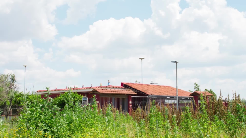 Timelapse with a cloudy sky in a spring day
