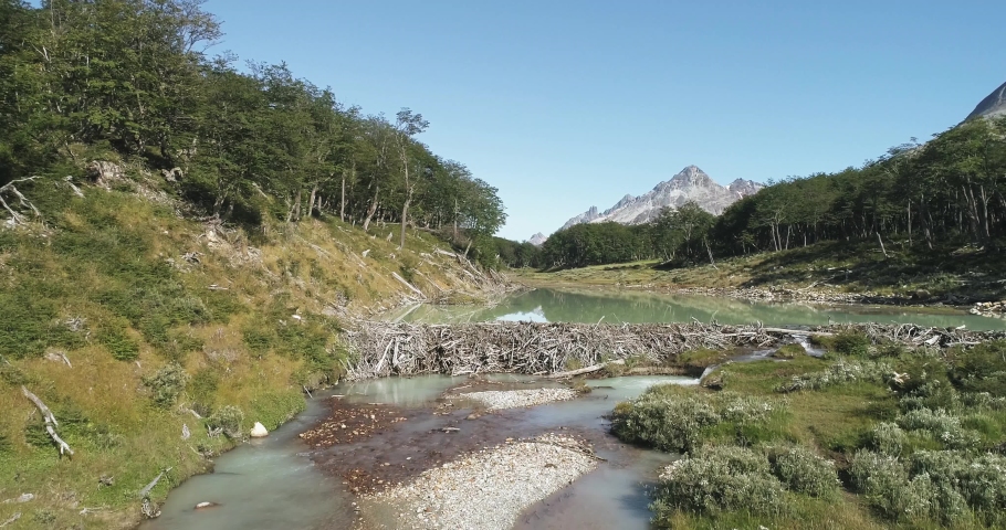 Emerald green river in the forest with mountain in the background and castorera