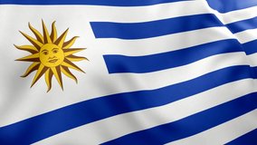 A beautiful view of Uruguay flag video. 3d flag waving video. Uruguay flag HD resolution. Uruguay flag Closeup 1080p Full HD video.