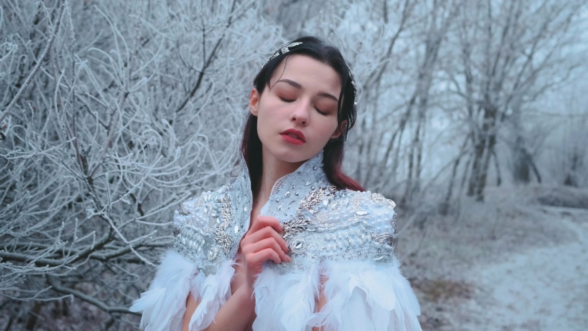 Portrait beautiful fantasy woman in carnival costume snow queen. White creative cape cloak, silver tiara, diadem, bird white feathers dress. Natural gentle makeup. winter nature, snowy trees forest