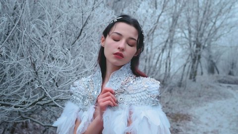 portrait beautiful fantasy woman in carnival costume snow queen. White creative cape cloak, silver tiara, diadem, bird white feathers dress. Natural gentle makeup. winter nature, snowy trees forest