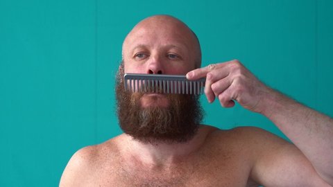 The bald headed guy with a lush beard  is combing his combing a mustache. Bearded man with a naked torso.