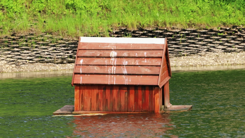 Floating house for waterfowl on the pond. Day nature in the city