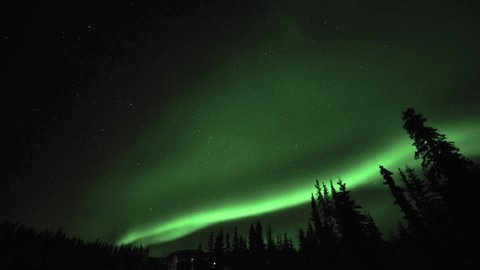 Magnificent aurora borealis show seen in Yukon Territory, northern Canada. Northern Lights in the winter from the north. 