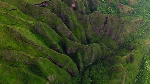 Na Pali Coast State park. Fantastic tropical relief top down view. Rocky folds of volcanic formations stretch down forming deep narrow ravine totally covered with greenery. Aerial, 4K
