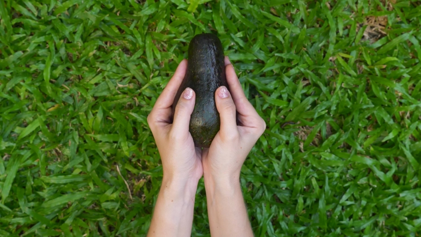 Woman Hands Hold and Open Two Cut Halves of Fresh Green Avocado on the Bright Green Grass on Background in Nature. Healthy Vegan Food Concept