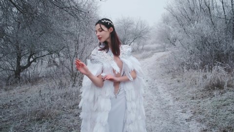 Fairytale beautiful young woman elf enjoy beauty winter frosty snowy forest. Greek goddess in white creative medieval vintage swan feather cape. Silver tiara. Brunette loose hair. Natural cosmetics 4k