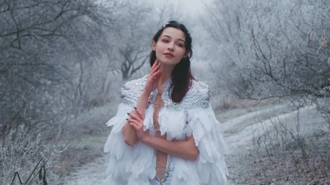 Beautiful charming cute young woman posing as model image fabulous snow queen. Creative carnival cloak of bird feathers sparkling strass. Silver diadem. Winter snow nature backdrop, frost forest trees