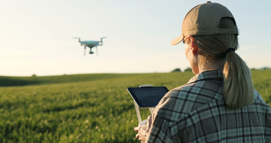 Close up of rear of Caucasian woman farmer in hat standing in green wheat field and controlling of drone which flying above margin. Female using tablet device as controller. Technologies in farming. Royalty-Free Stock Footage #1054417121