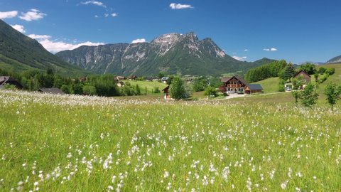 Flying over a flower meadow to Bad Aussee, Austrian Alps, Salzkammergut, Ausseerland, Austria