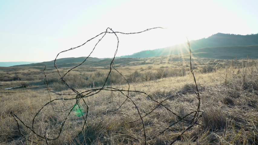 Push through old wire on frosty Montana morning