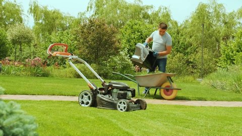 Landscaper worker man stop mower engine and unload grass from lawn cutter machine bag into wheelbarrow. Garden meadow lawn cutting. 