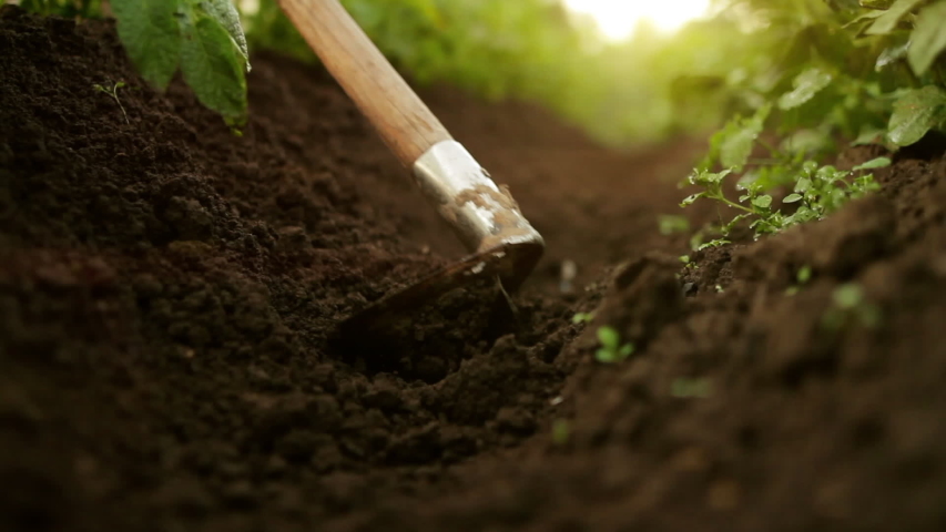 Close-up. A farmer with a plow digs up a bed. Caring for the earth. Agriculture. The concept of a green world, a progressive future, a beautiful world around us. Royalty-Free Stock Footage #1054435472