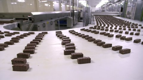 Production in a chocolate, cracker or cake factory.