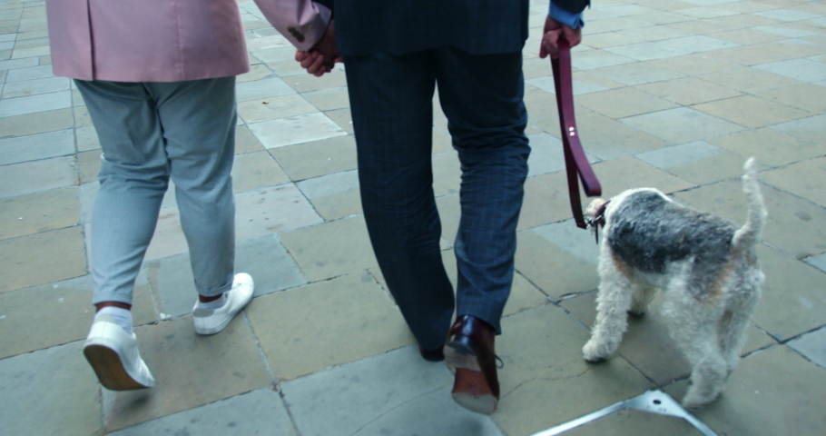 Mixed race homosexual couple walking down a street with their Wire Fox Terrier in London, England.