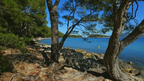 View across a bay of blue sea under a blue sky with rocks and trees in the foreground.