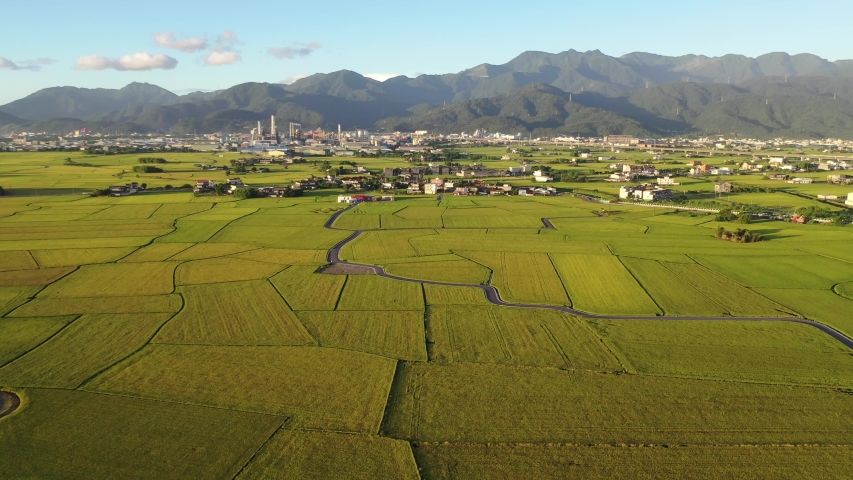 Flying over green rice paddies in Yilan (Ilan), Taiwan, with a country lane winding through the patchwork field and farm houses scattered between the plain & the beautiful mountains on distant horizon Royalty-Free Stock Footage #1054455350
