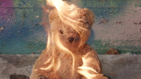 Burning Teddy Bear in flames