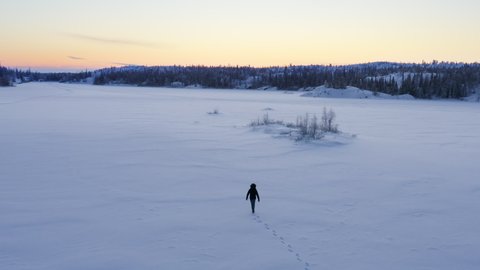 Aerial, person walking on snow in winter in remote wilderness, canada