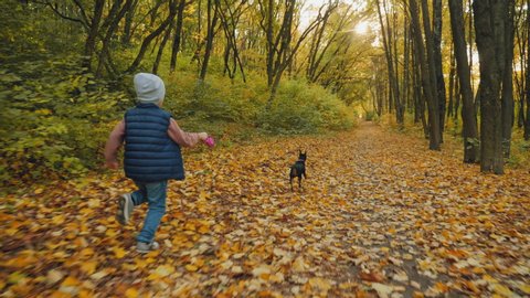 Rear view: Little boy running with his cute dog on the leash in the autumn forest on a warm sunny day, slow-motion