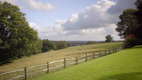 A fence separates two fields, with sheep grazing and large British trees.