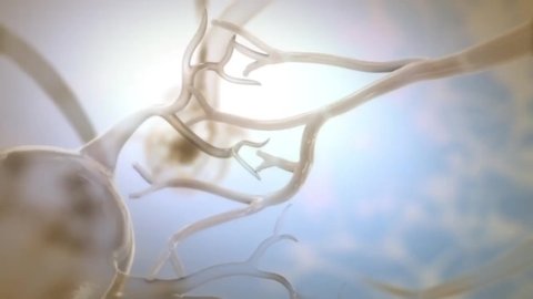 death of neurons animation hd