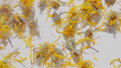 Slow motion falling dry yellow flowers to white desk. Top view slow motion from 120 fps