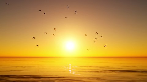 A flock of Birds flying high over the ocean in-front of a beautiful golden sunset.