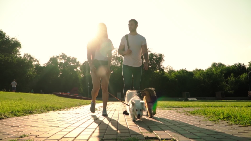 Happy Young Married Couple Walks with Two Dogs in a Glade in the Park. Girl with her Boyfriend stroll Along the Green Lawn with Puppies. Slow motion. Royalty-Free Stock Footage #1054532051