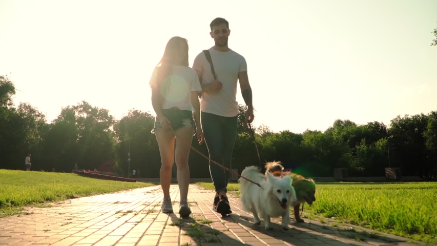 Happy Young Married Couple Walks with Two Dogs in a Glade in the Park. Girl with her Boyfriend stroll Along the Green Lawn with Puppies. Slow motion. | Shutterstock HD Video #1054532051