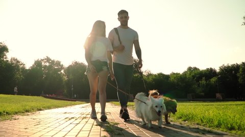 Happy Young Married Couple Walks with Two Dogs in a Glade in the Park. Girl with her Boyfriend stroll Along the Green Lawn with Puppies. Slow motion.