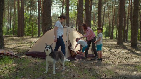 Two boys and two moms happily put up a tent in the forest for their local family camping trip. Family eco summer tourism with dog. Slow motion, steadicam shot. 