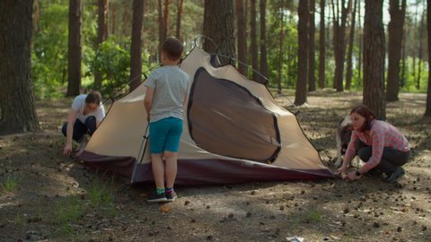 Two women and two boys having summer camping vacation in forest. Happy family of two mothers and two sons put up tent for camping. Slow motion, steadicam shot.