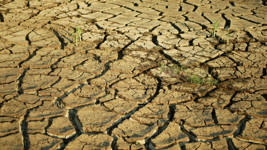 Drought cracked pond wetland. swamp lake drying up the soil crust earth climate change, environmental disaster and earth cracks very, death for plants and animals, soil drought degradation marsh Royalty-Free Stock Footage #1054541651