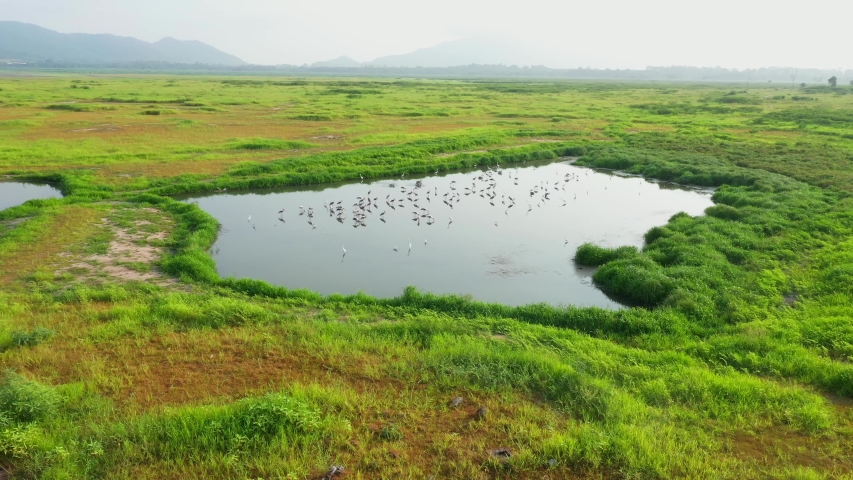 Aerial view of the lake, with a flock of birds on the water, beautiful sunlight and shadows reflecting the clouds. 
