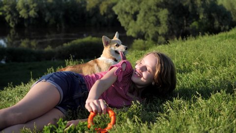 Teenage girl is playing with her Pembroke Welsh Corgi blonde dog, puppy. Outdoors in summer, lying on the green grass and having fun. 