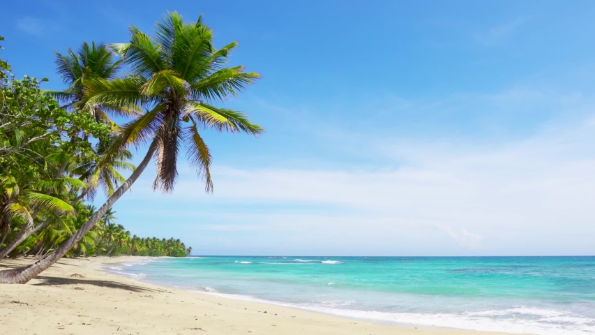 Palm trees and sea, sunny summer day in the Atlantic ocean. Punta Cana Dominican republic Caribbean Sea and sky and beach landscape. Big white waves lie on a wild white sand beach. Royalty-Free Stock Footage #1054567010