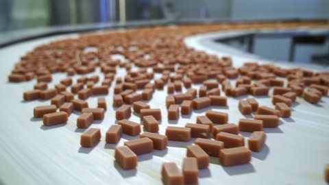 toffee. cream candies on a conveyor production line. confectionery factory.