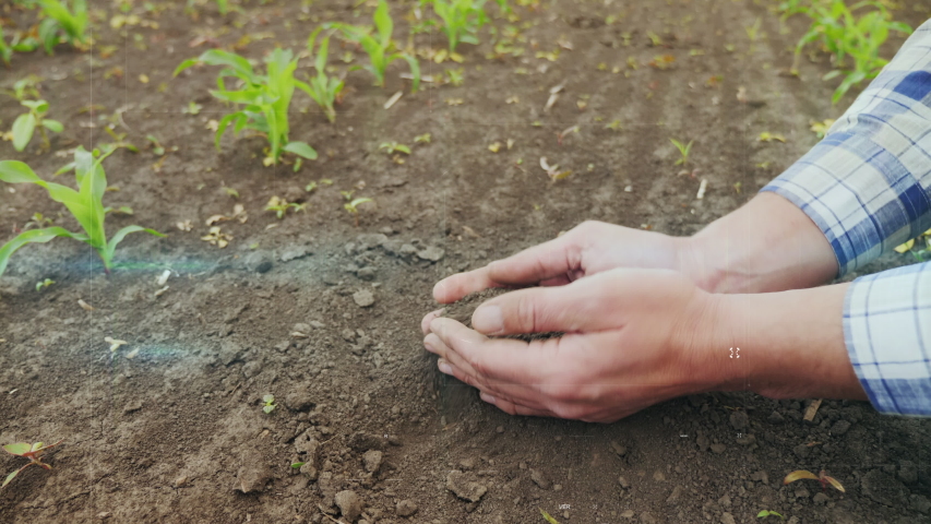 The farmer checks the soil moisture in the field. The H2O indicator flashes red, dry soil, modern technologies of the future in agriculture, soil analysis, warning about the lack of water in the Royalty-Free Stock Footage #1054590488