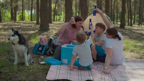 Two moms and two sons drinking cold beverages from fridge on picnic blanket during summer family camping vacation with tent in forest. Happy family with Siberian Husky dog. Steadicam shot.