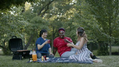 A group of diverse friends have a holiday barbecue in a stunning park. They lift their glasses and cheers in celebration. Shot in slow-motion and in 4k.