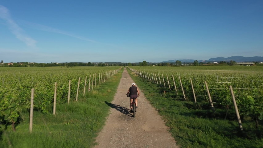 Cyclist in black shorts, black tank top on a mountain bike, road between the vineyards aerial view. Flying behind a cyclist Royalty-Free Stock Footage #1054615160
