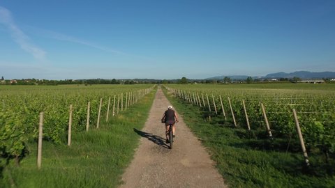 Cyclist in black shorts, black tank top on a mountain bike, road between the vineyards aerial view. Flying behind a cyclist