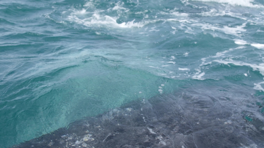 Amazing meet with a Humpback Whale in the Mexico sea, Eye Close Up