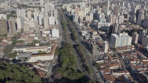 trees of the Jequitibas forest in Campinas with city in the background, Sao Paulo, Brazil, drone forward movement